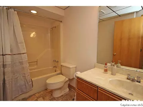 36 Chimney View Ln, Springfield, IL 62707 photo 22