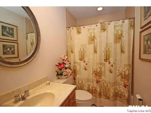 36 Chimney View Ln, Springfield, IL 62707 photo 21