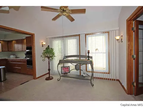 36 Chimney View Ln, Springfield, IL 62707 photo 12