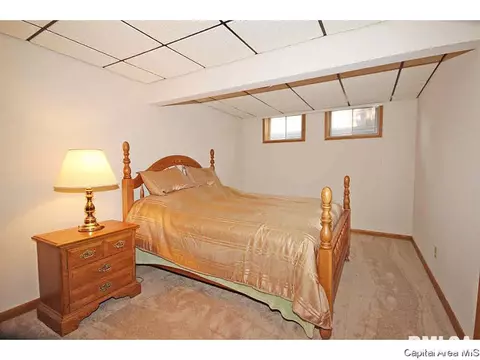 36 Chimney View Ln, Springfield, IL 62707 photo 20