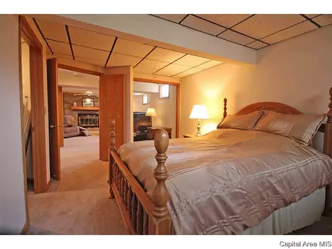 36 Chimney View Ln, Springfield, IL 62707 photo 19