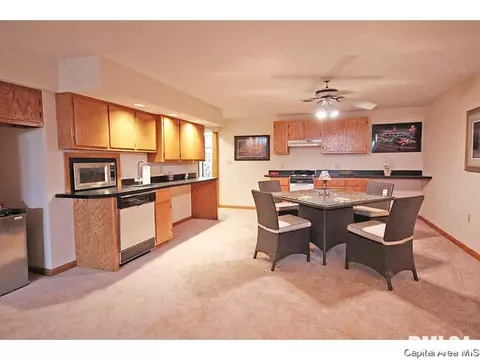36 Chimney View Ln, Springfield, IL 62707 photo 28