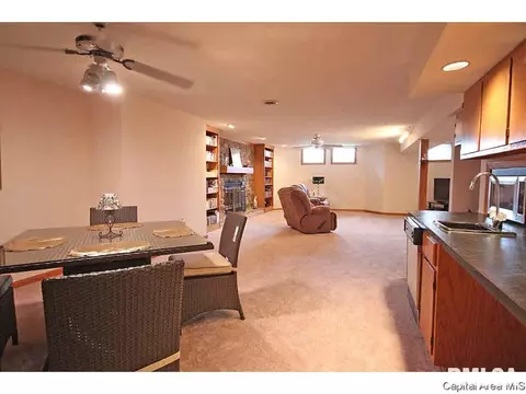 36 Chimney View Ln, Springfield, IL 62707 photo 29