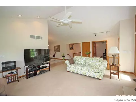 36 Chimney View Ln, Springfield, IL 62707 photo 6