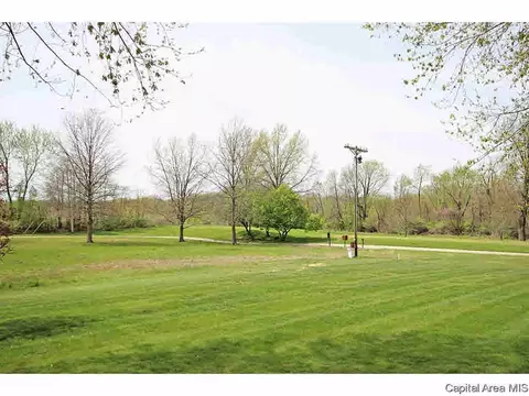 36 Chimney View Ln, Springfield, IL 62707 photo 32