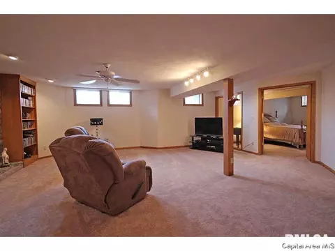 36 Chimney View Ln, Springfield, IL 62707 photo 27