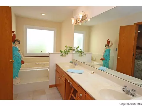 36 Chimney View Ln, Springfield, IL 62707 photo 15