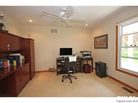 36 Chimney View Ln, Springfield, IL 62707 photo 25