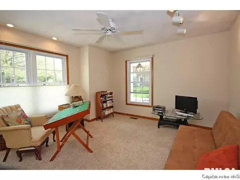 36 Chimney View Ln, Springfield, IL 62707 photo 17
