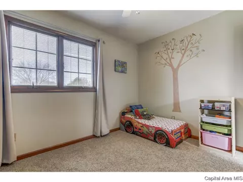 3301 Lauxmont Dr, Springfield, IL 62712 photo 26