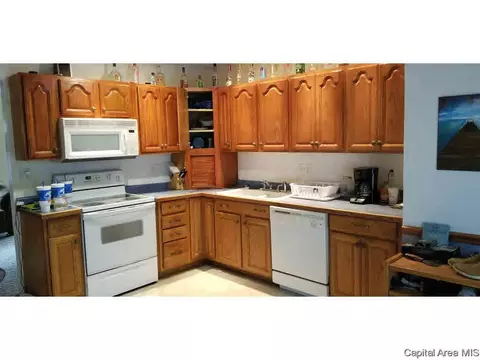 1828 Stonehenge, Springfield, IL 62702 photo 2