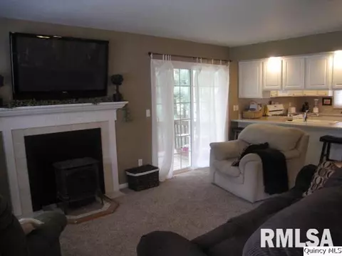 320 Schoch Dr, Mendon, IL 62351 photo 2