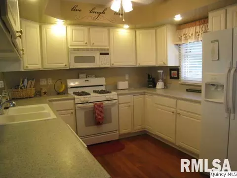 320 Schoch Dr, Mendon, IL 62351 photo 3