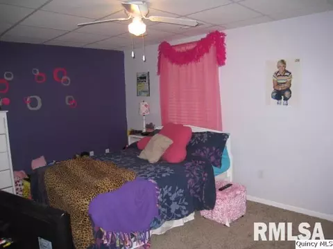 320 Schoch Dr, Mendon, IL 62351 photo 11