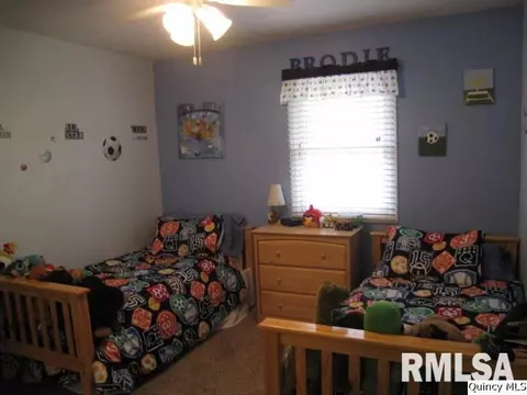 320 Schoch Dr, Mendon, IL 62351 photo 7