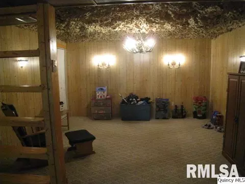 320 Schoch Dr, Mendon, IL 62351 photo 9