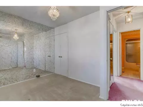 46 Lilac Ln, Springfield, IL 62702 photo 9
