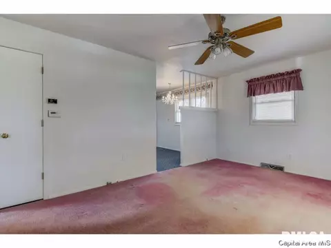 46 Lilac Ln, Springfield, IL 62702 photo 4