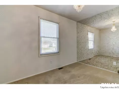46 Lilac Ln, Springfield, IL 62702 photo 8