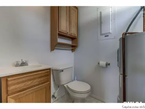 46 Lilac Ln, Springfield, IL 62702 photo 14