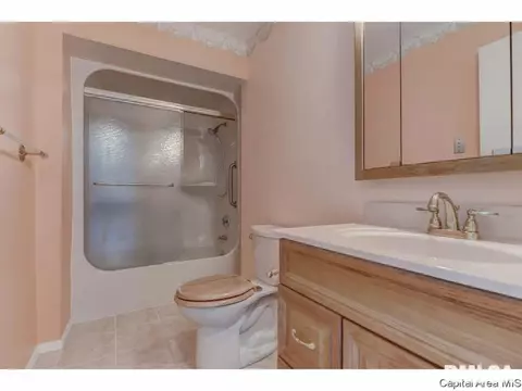 46 Lilac Ln, Springfield, IL 62702 photo 13