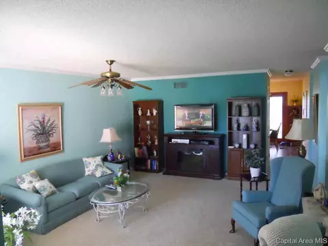 5206 Carlton, Springfield, IL 62703 photo 6