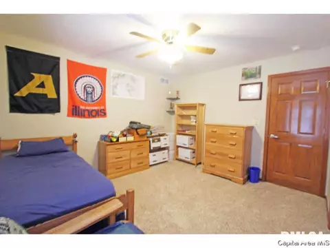 4625 Barrington, Springfield, IL 62711 photo 18
