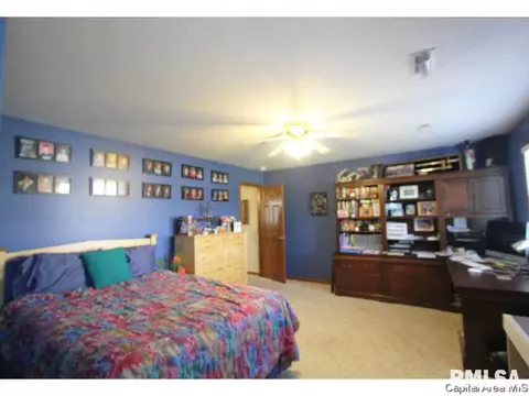 4625 Barrington, Springfield, IL 62711 photo 25
