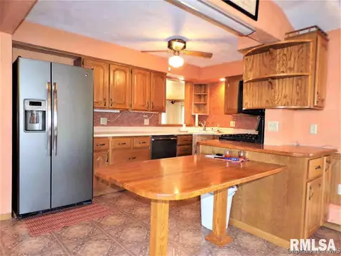101 E Ontario Rd, Oneida, IL 61467 photo 13