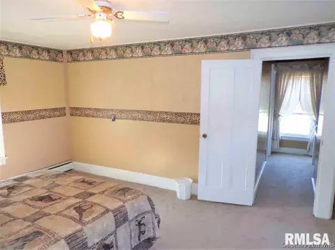 101 E Ontario Rd, Oneida, IL 61467 photo 34