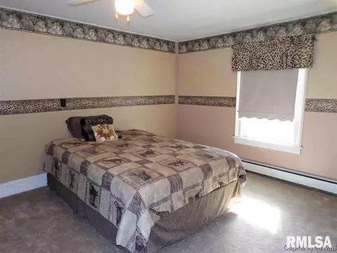 101 E Ontario Rd, Oneida, IL 61467 photo 33