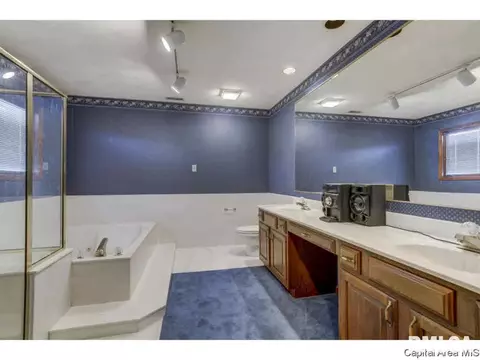 809 Wood Pointe Dr, Springfield, IL 62702 photo 13