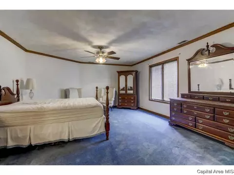 809 Wood Pointe Dr, Springfield, IL 62702 photo 12