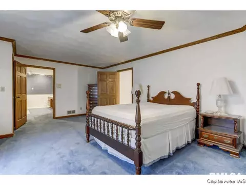 809 Wood Pointe Dr, Springfield, IL 62702 photo 11