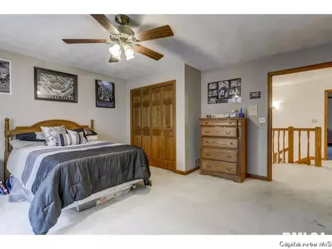809 Wood Pointe Dr, Springfield, IL 62702 photo 15