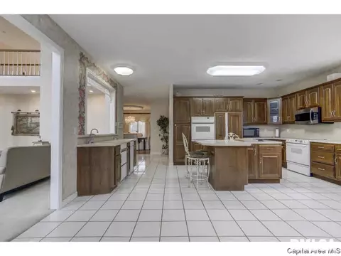 4808 Bears Paw Dr, Springfield, IL 62711 photo 11