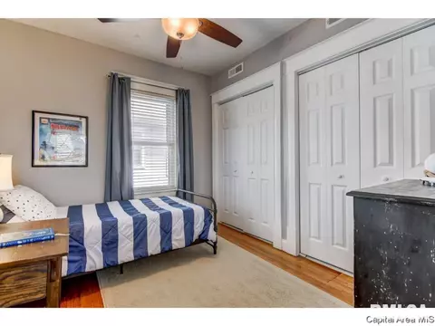 721 S Douglas Ave, Springfield, IL 62704 photo 27