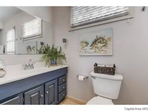 721 S Douglas Ave, Springfield, IL 62704 photo 20