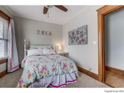 721 S Douglas Ave, Springfield, IL 62704 photo 26