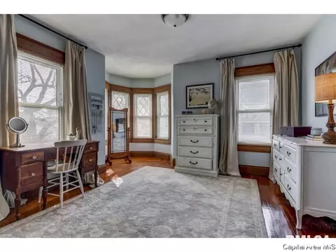 721 S Douglas Ave, Springfield, IL 62704 photo 23