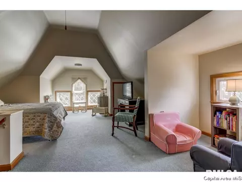 721 S Douglas Ave, Springfield, IL 62704 photo 30