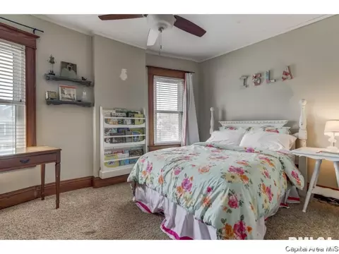 721 S Douglas Ave, Springfield, IL 62704 photo 25