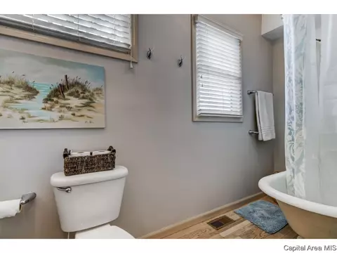 721 S Douglas Ave, Springfield, IL 62704 photo 19