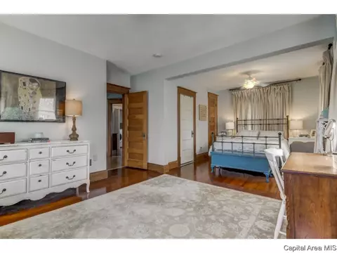 721 S Douglas Ave, Springfield, IL 62704 photo 21