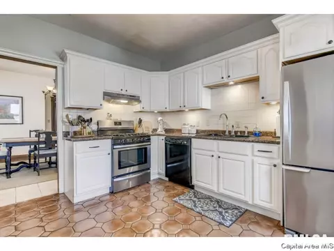 721 S Douglas Ave, Springfield, IL 62704 photo 17