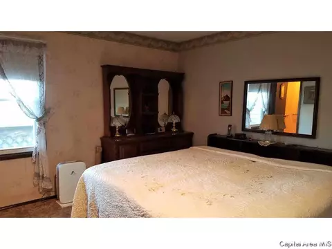 706 E Cardinal Ct, Athens, IL 62613 photo 13