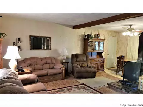 706 E Cardinal Ct, Athens, IL 62613 photo 6