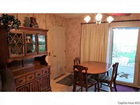 706 E Cardinal Ct, Athens, IL 62613 photo 9