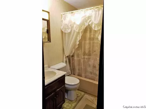706 E Cardinal Ct, Athens, IL 62613 photo 11