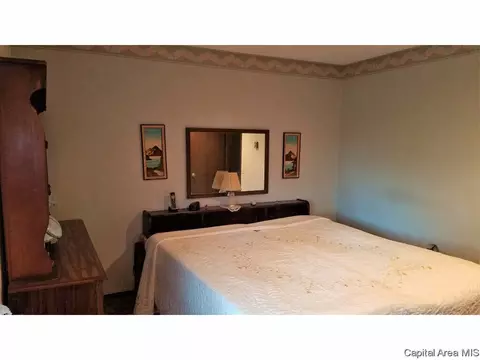706 E Cardinal Ct, Athens, IL 62613 photo 12